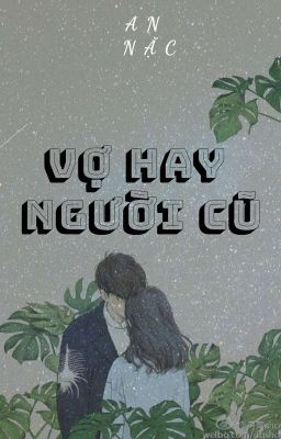 Vợ Hay Người Cũ ? 