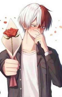 voglio stare con te [SHOTO TODOROKI X READER] [FINITA] 