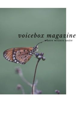 voicebox magazine: issue 2