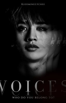 ❝ voices ❞ bang chan