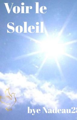 Voir le Soleil