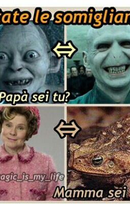 Voldemort ~ Le Canzonette 