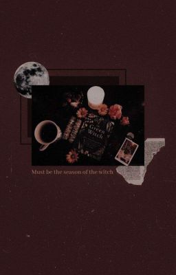 Voxto// hoa sơn trà