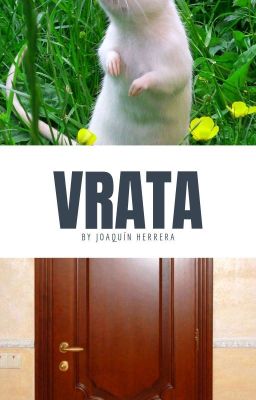 Vrata