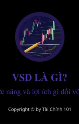 VSD LÀ GÌ? Ý NGHĨA CỦA VSD ĐỐI VỚI NHÀ ĐẦU TƯ