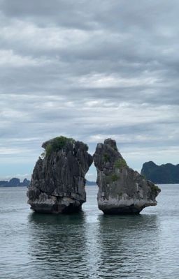 vth x lthl | oneshot và drabble 