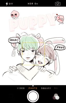 vtrans // sugakookie | puppy