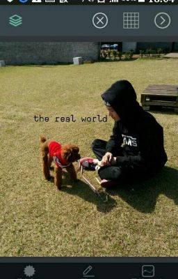 |vtrans||yoonmin| the real world