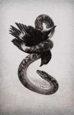 Vùng Cấm [Vipeus]