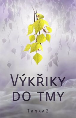 Výkřiky do tmy