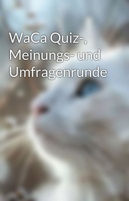 WaCa Quiz-, Meinungs- und Umfragenrunde