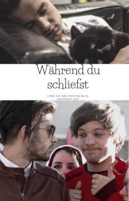 Während du schliefst - Liebe auf den zweiten Blick [Ziam or Zouis?]