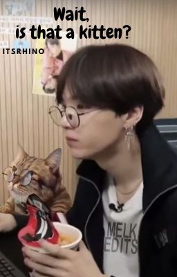 Wait, is that a kitten? // Yoongixbts |persian translation|