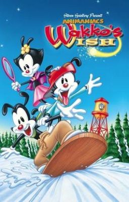 Wakko's Wish