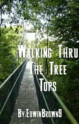 Walking Thru The Tree Tops