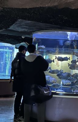 wangje | ánh dương ấm áp [trans]