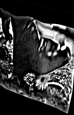 War of the Worlds - Seit ?: Anna's Screenplay. 