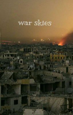 War Skies (BxB)