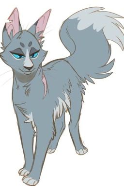 Warrior Cat Characters
