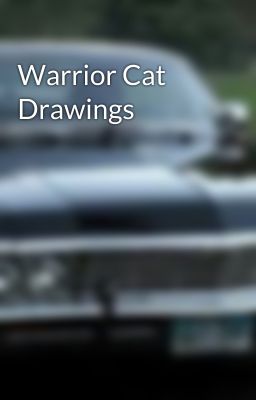 Warrior Cat Drawings