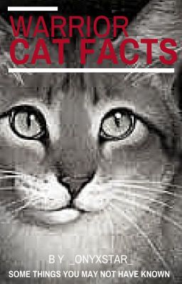 Warrior Cat Facts!