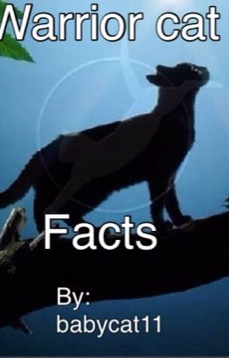 Warrior cat facts