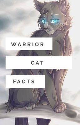 Warrior Cat Facts