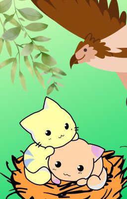 Warrior cat generator