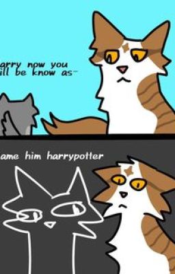 Warrior Cat Generator