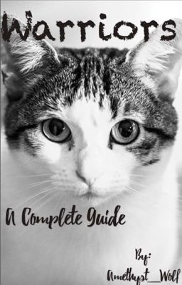 Warrior cat guide