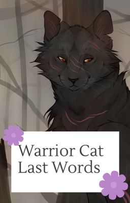 Warrior Cat Last Words *Completed*