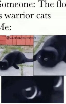 Warrior Cat Meme Book