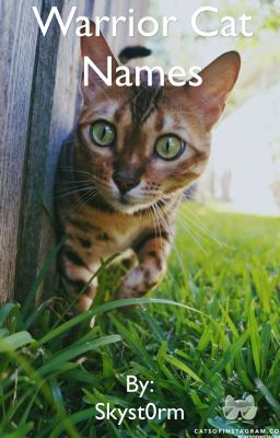 Warrior cat names & More