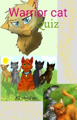 Warrior Cat Quiz!!:3