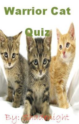 Warrior Cat: Quiz