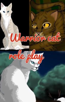 Warrior cat role play