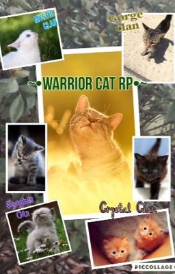 ~•Warrior Cat RolePlay •~