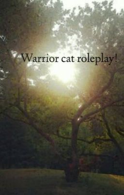 Warrior cat roleplay!