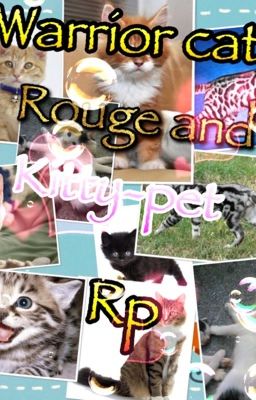 Warrior cat,rouge and kitty-pet rp