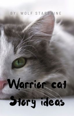 Warrior cat story ideas