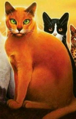 Warrior Cats 