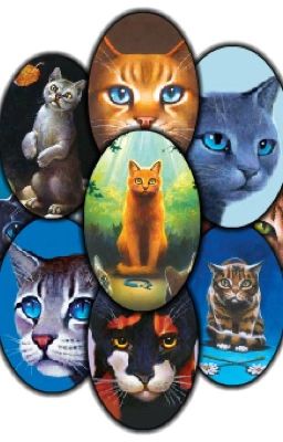 Warrior cats ~ a saga of freedom, love, and life