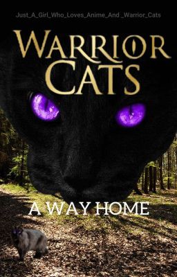 Warrior Cats- A Way Home