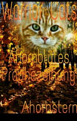 Warrior Cats: Ahornblütes Prophezeiung