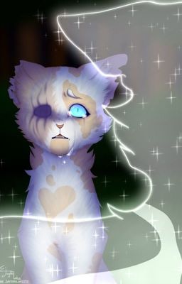 |Warrior Cats Artbook|