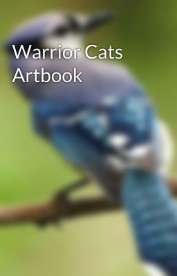 Warrior Cats Artbook