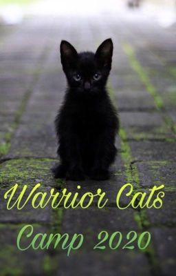 Warrior Cats Camp 2020