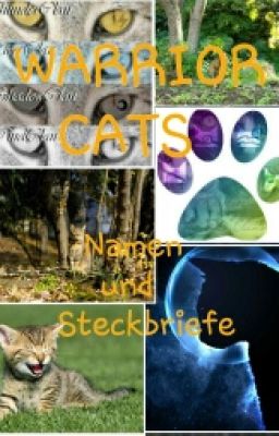 WARRIOR CATS  cats Namen und Steckbriefe