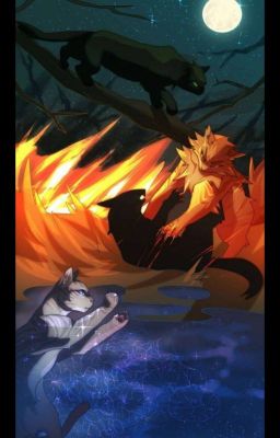 warrior cats chat 