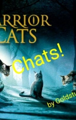 Warrior Cats Chats